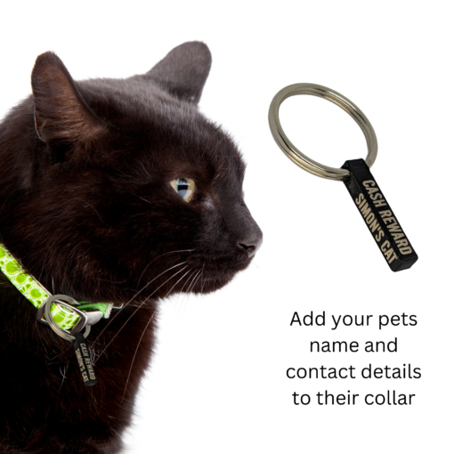 Personalised Black Key Tag – Custom Engraved Name, Pet ID, Contact Info - Image 8